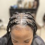 Individual Braids