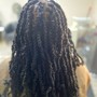 Double-Strand Twists