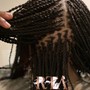 Small Senegalese Twists