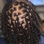 Adult Loc Re-Twist Short