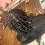 Starter Locs