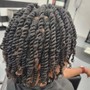 Mini Twists