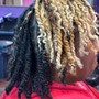 Individual Braids