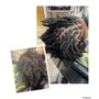 Loc Retwist Maintenance