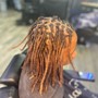 Root Touch Up