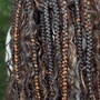 Starter Locs