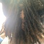 Traditional Loc Re-twist