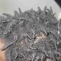 Loc Retwist