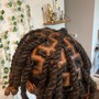 Starter locs (2 strands)