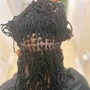 Starter Locs