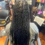 Medium Senegalese Twist