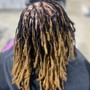 Loc Retwist w| Style (more than 100 locs)