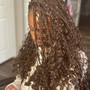 Knotless Box Braids (Medium, Bra Length, 42")