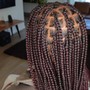 Medium Senegalese Twist