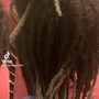 Starter locs