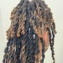 Loc Retachments Reattach Your Cut Off Locs (CLIENT SUPPLIES LOCS - NOT EXTENSION)