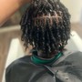 Starter Locs