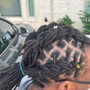 Starter locs