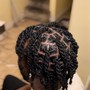 Loc retwist