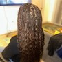 Closure Sew In