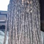 Starter Locs