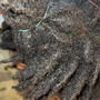 Dreadlocks