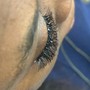 Individual Lashes