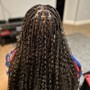 Starter Locs