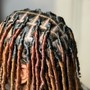 Starter locs