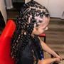 Havana Twists