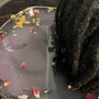 Sister locs Installation