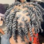 Starter Locs