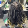 Starter Locs