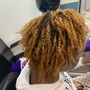 Sisterlocks TM Consultation