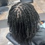 Mini Twists (hair added) shoulder length