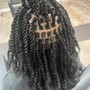 Mini Twists (hair added) shoulder length