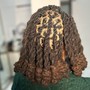 Loc Maintenance/ Retwist