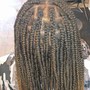 Large Senegalese twist( when you provide you hair)