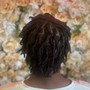 Starter Locs