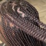 NUBIAN TWISTS