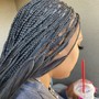 Braids with French curls