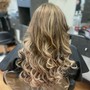 Silk Press/ Blowout