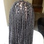 Senegalese Twist