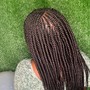 Tribal Braids/ medium