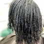 Root Touch Up