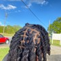 Invisible locs over LOCS