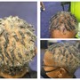 Root Touch Up