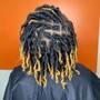 Starter Locs