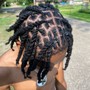 Starter Locs