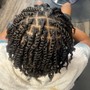 Two Strand Twist